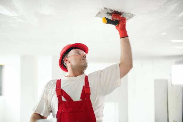 Best Residential Painting  in Cocoa Beach, FL